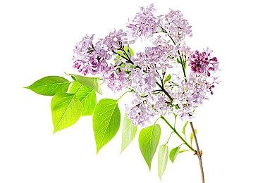 Epic喜加一：《渔帆暗涌》免费领取